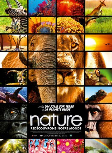 Заколдованное королевство 3D (2014) Заколдованное королевство 3D (2014)