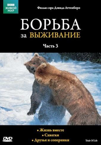 BBC: Борьба за выживание (1990) BBC: Борьба за выживание (1990)