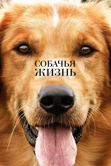Собачья жизнь (2017) Собачья жизнь (2017)
