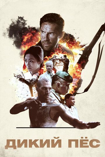 Дикий пёс (2017) Дикий пёс (2017)