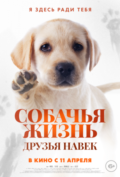 Собачья жизнь: Друзья навек (2024) Собачья жизнь: Друзья навек (2024)