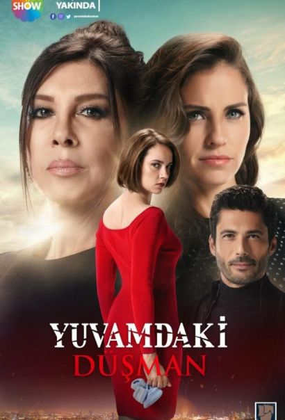 Враг в моем доме (2018) Враг в моем доме (2018)