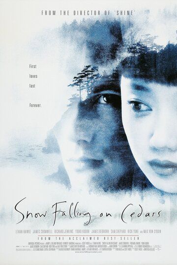 Заснеженные кедры (2000) Заснеженные кедры (2000)