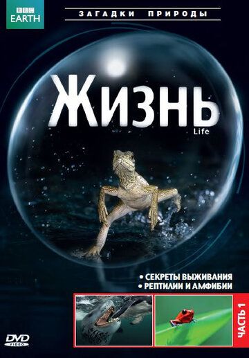 BBC: Жизнь (2009) BBC: Жизнь (2009)