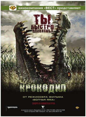 Крокодил (2007) Крокодил (2007)