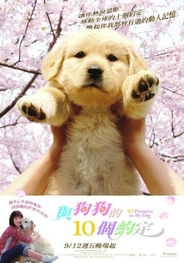 10 обещаний моей собаке (2008) 10 обещаний моей собаке (2008)