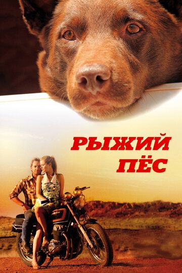 Рыжий пес (2011) Рыжий пес (2011)