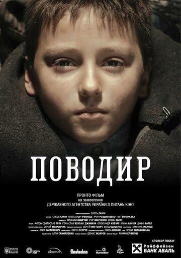 Поводырь (2014) Поводырь (2014)