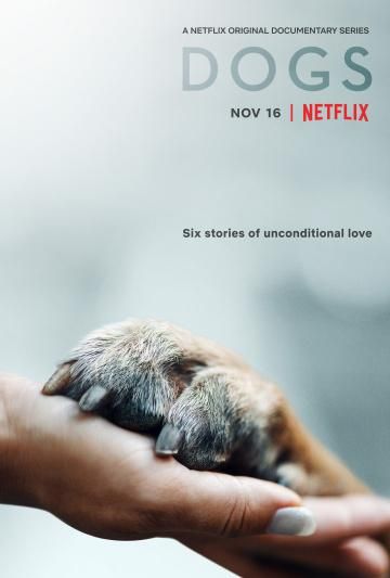 Собаки (2018) Собаки (2018)