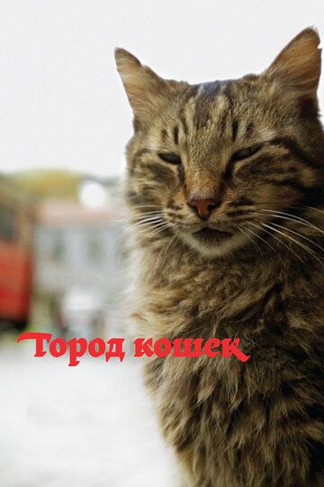 Город кошек / Кот (2017) Город кошек / Кот (2017)