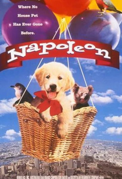 Наполеон (1999) Наполеон (1999)