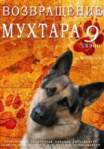 Возвращение Мухтара 9 (2014) Возвращение Мухтара 9 (2014)