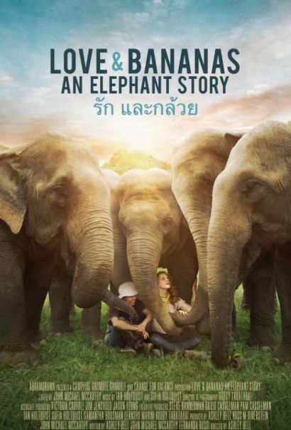 Любовь и бананы (2018) Любовь и бананы (2018)