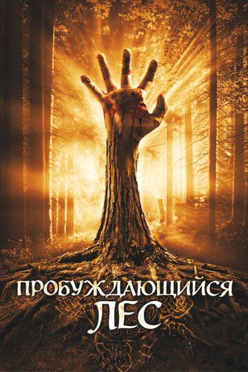 Пробуждающийся лес (2009) Пробуждающийся лес (2009)