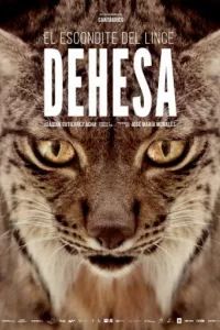 Дехеса: лес пиренейской рыси (2020) Дехеса: лес пиренейской рыси (2020)