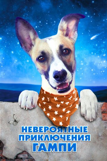 Гамп — пёс, который научил людей жить (2021) Гамп — пёс, который научил людей жить (2021)