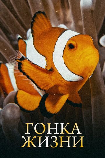 Гонка жизни (2015) Гонка жизни (2015)