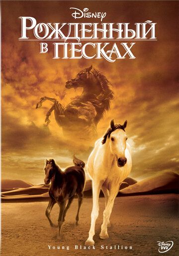 Рожденный в песках (2004) Рожденный в песках (2004)