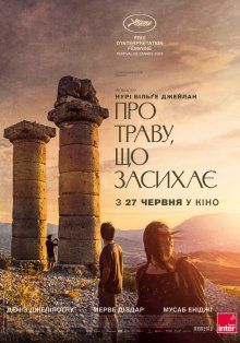 О сухой траве (2024) О сухой траве (2024)