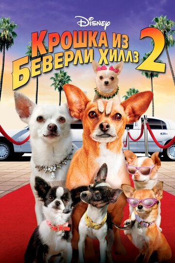 Крошка из Беверли-Хиллз 2 (2011) Крошка из Беверли-Хиллз 2 (2011)