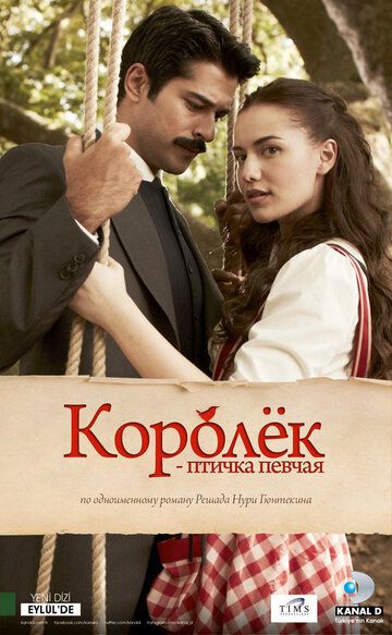 Королёк – птичка певчая (2013) Королёк – птичка певчая (2013)