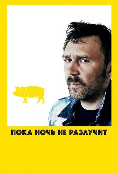 Пока ночь не разлучит (2012) Пока ночь не разлучит (2012)