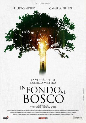 В глубине леса (2016) В глубине леса (2016)