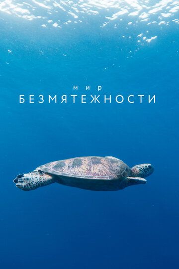 Мир безмятежности (2020) Мир безмятежности (2020)