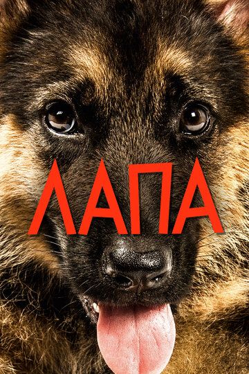 Лапа (2015) Лапа (2015)
