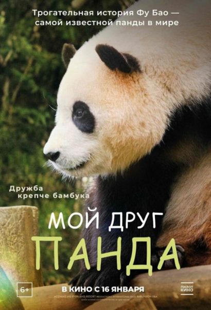 Мой друг панда (2025) Мой друг панда (2025)