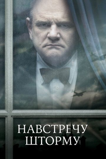 Навстречу шторму (2009) Навстречу шторму (2009)