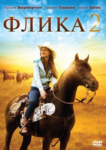 Флика 2 (2010) Флика 2 (2010)