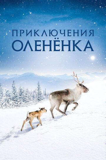Приключения оленёнка (2019) Приключения оленёнка (2019)