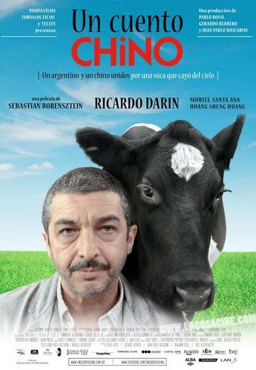 Китайская сказка (2011) Китайская сказка (2011)