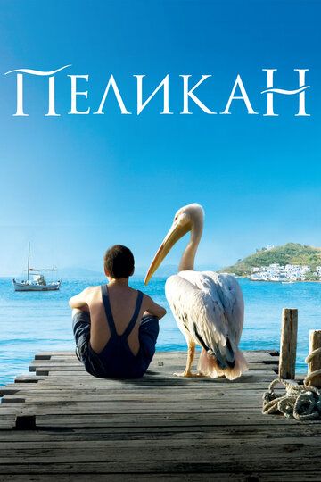 Пеликан (2011) Пеликан (2011)