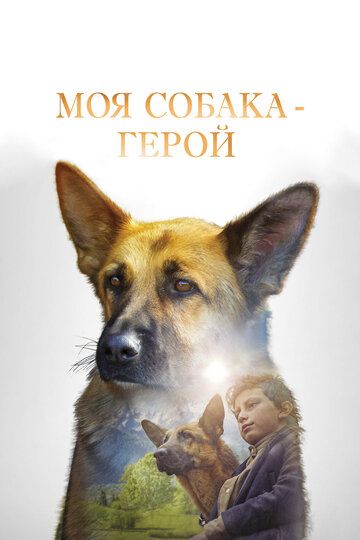 Овчарка-герой (2019) Овчарка-герой (2019)