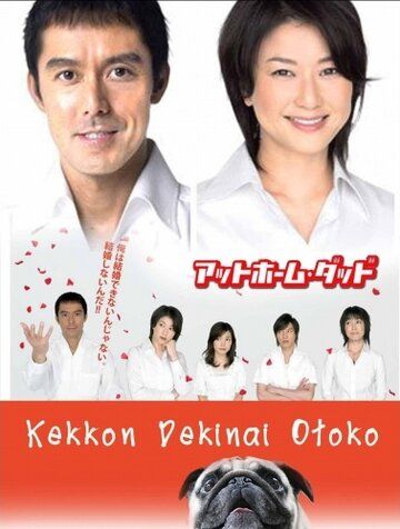 Убеждённый холостяк (2006) Убеждённый холостяк (2006)