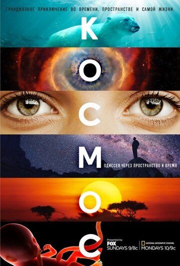 Космос: Пространство и время (2014) Космос: Пространство и время (2014)