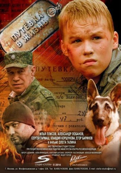Путевка в жизнь (2013) Путевка в жизнь (2013)