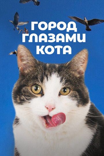 Город глазами кота (2018) Город глазами кота (2018)