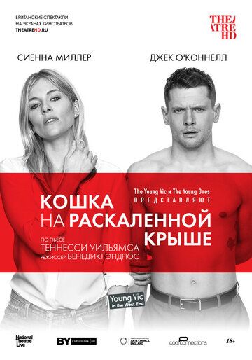Кошка на раскалённой крыше (2018) Кошка на раскалённой крыше (2018)