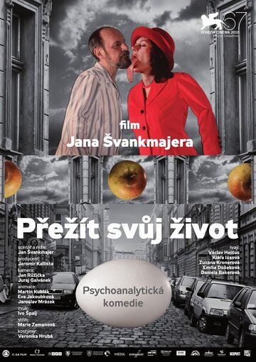 Пережить свою жизнь (2010) Пережить свою жизнь (2010)