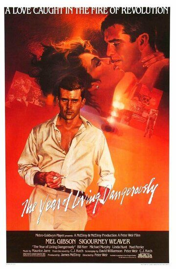 Год, опасный для жизни (1982) Год, опасный для жизни (1982)