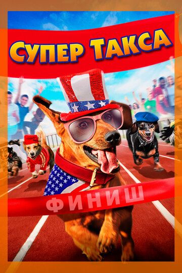 Шелли снова в деле (2016) Шелли снова в деле (2016)