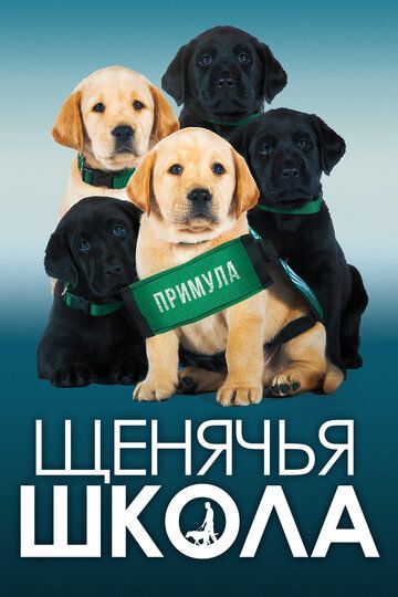 Щенячья школа (2018) Щенячья школа (2018)