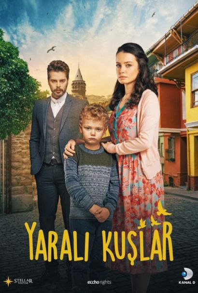 Раненые птицы (2019) Раненые птицы (2019)