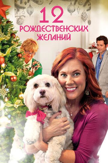 12 Рождественских желаний (2011) 12 Рождественских желаний (2011)