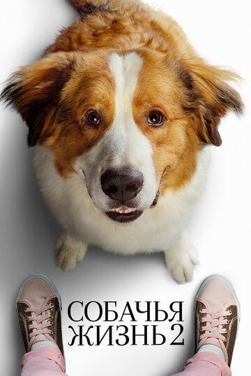 Собачья жизнь 2 (2019) Собачья жизнь 2 (2019)