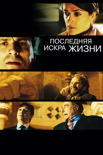 Последняя искра жизни (2012) Последняя искра жизни (2012)
