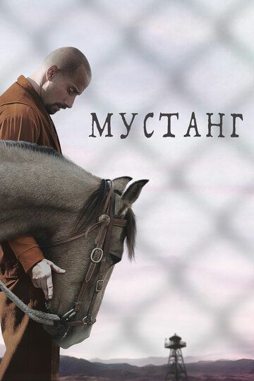 Мустанг (2019) Мустанг (2019)